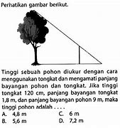 Panjang Tongkat Pramuka Berapa Meter