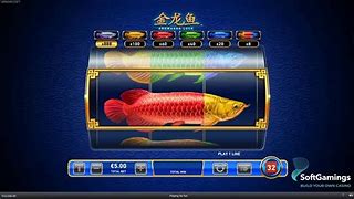 Slot Baru Ikan Arwana Bebas Bet Slot Hari Ini